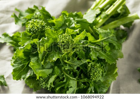 Raw Green Organic Broccoli Rabe Ready to Cook Foto stock © 