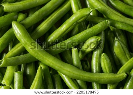 Raw Green Organic String Beans in a Bunch