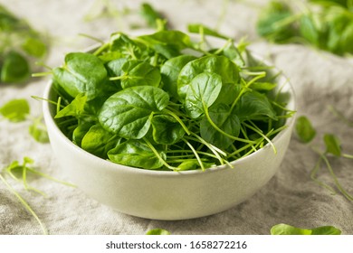 Raw Green Organic Watercress in a Bowl