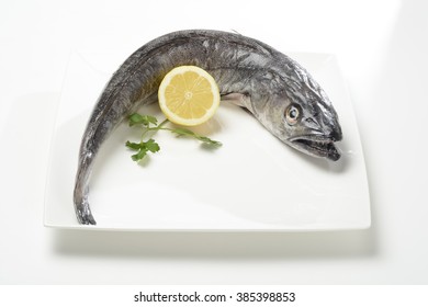 Raw Hake On White Background