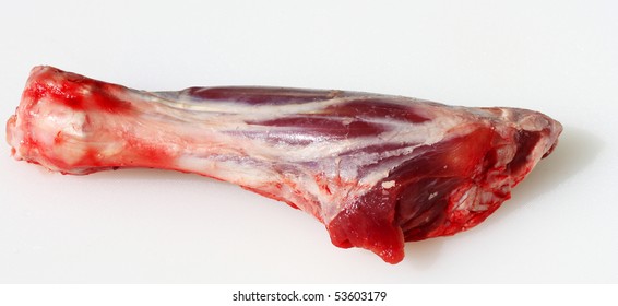 Can dogs eat on sale lamb leg bones