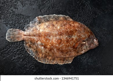 Raw Lemon Sole Fish On Black Background, Top View