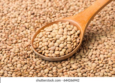 Raw Lentils On White, (large Depth Of Field, Taken With Tilt Shift Lens)