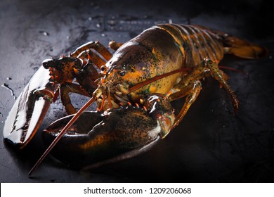 Raw lobster on a black stone table.