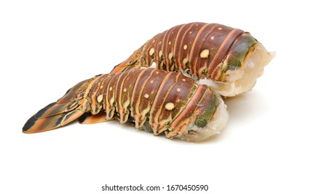 Raw Lobster Tail On White Background