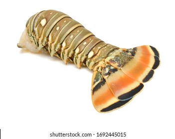 Raw Lobster Tail On White Background