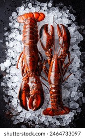 Raw lobsters on ice on a black stone table top view. Food seafood background. Close-up.