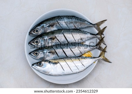 Raw mackerel fish on a plate top view