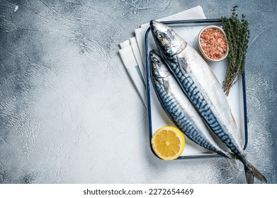 Raw mackerel scomber fish with ingredients for cooking in baking dish. White background. Top view. Copy space. - Powered by Shutterstock