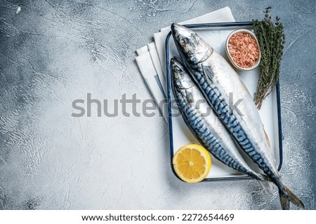 Raw mackerel scomber fish with ingredients for cooking in baking dish. White background. Top view. Copy space.