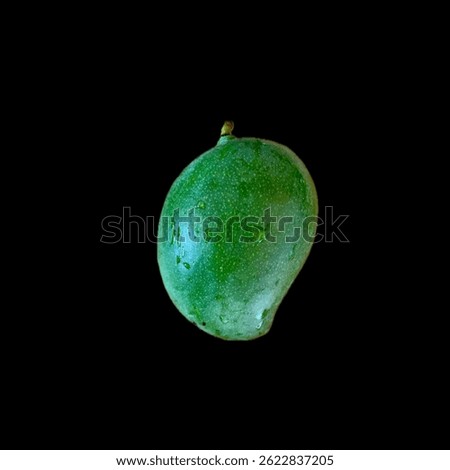 Raw Mango in a true black background
