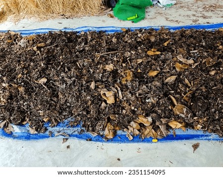 Raw materials for soil mix (Straw heap, animal waste, leaf scraps). Soil for planting. Agriculture, Cultivation, Organic, Green Earth.