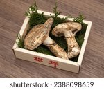 Raw matsutake mushrooms. It is a taste that represents autumn in Japan. "Matsutake" is written in Japanese on the box.
​