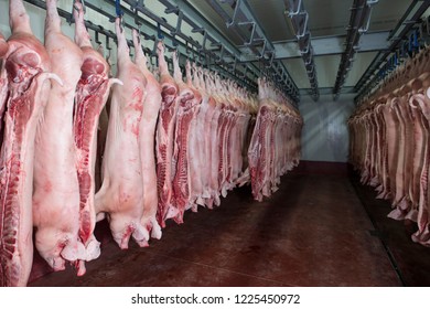 Raw Meat In Cold Storage. Food Industry. Distribution Center.