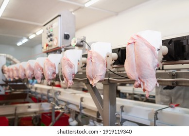 Raw meat cuts on a industrial conveyor belt.Meat processing in food industry.Conveyor Belt Food.Automated production line in modern food factory.