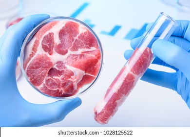 Raw meat in scientist hands. Meat in laboratory test tube and in lab Petri dish, cultured clean laboratory meat concept.