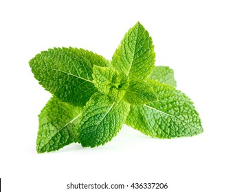 peppermint white background pictures