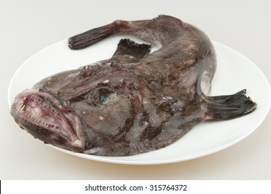 Raw Monkfish