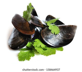 Raw Mussels