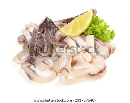 Raw Octopus, Calmar with Calamari Rings isolated on white Background