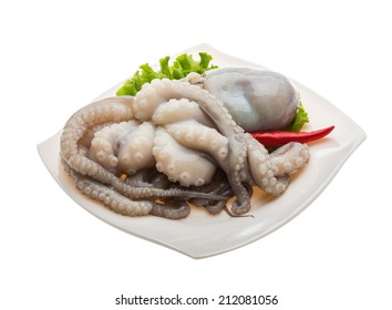 Raw Octopus Ready For Cooking