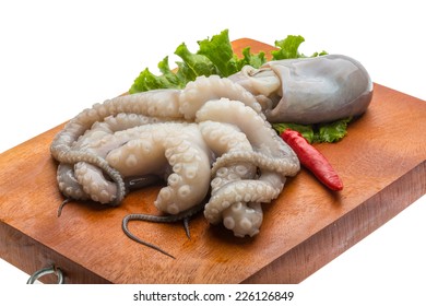 Raw Octopus Ready For Cooking