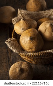 Raw Organic Brown Jicama in a Basket