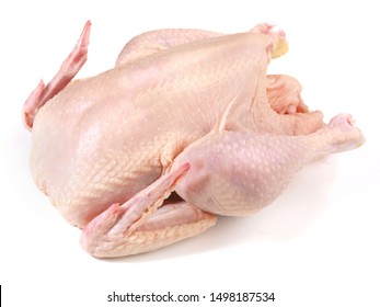 Raw Organic Chicken On White Background