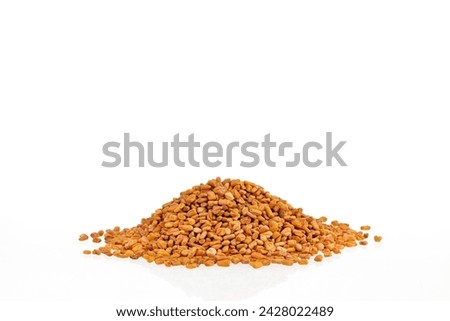 Raw organic fenugreek seeds - Methi Dana Stock photo © 