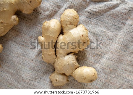 Raw Organic Ginger Root on cloth, overhead view. Flat lay, from above, top view. Copy space.