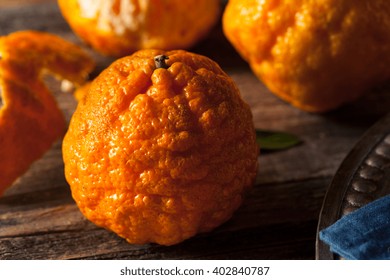 Raw Organic Gold Nugget Mandarin Oranges Ready To Eat