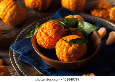 Raw Organic Gold Nugget Mandarin Oranges Ready To Eat