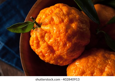 Raw Organic Gold Nugget Mandarin Oranges Ready To Eat