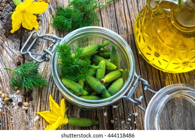 Raw Organic Mini Baby Cucumbers