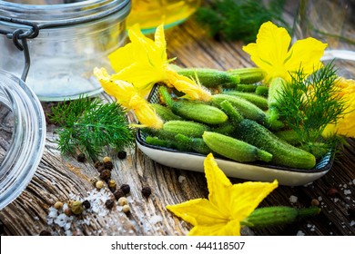 Raw Organic Mini Baby Cucumbers