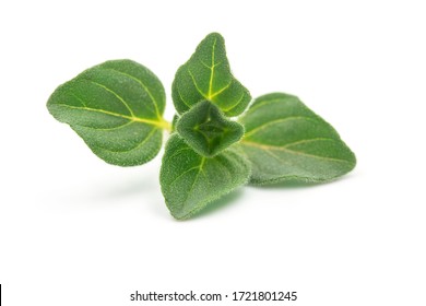 Raw organic oregano leaf or marjoram on white isolated background. Fresh and dry oregano is ingredient for Italian food, it have aromatic and high nutrition. Concept about herb and spice for cooking.