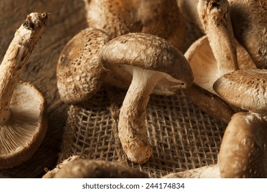 Raw Organic Shitaki Mushrooms on a Background