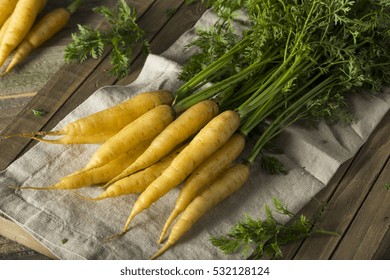 Raw Organic Yellow Baby Carrots Ready to Eat - Powered by Shutterstock