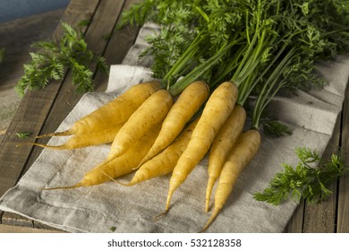 Raw Organic Yellow Baby Carrots Ready to Eat - Powered by Shutterstock