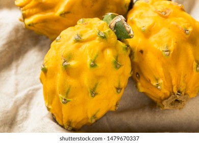 Download Yellow Dragonfruit Images Stock Photos Vectors Shutterstock Yellowimages Mockups