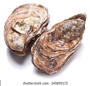 Raw oyster on a white background.