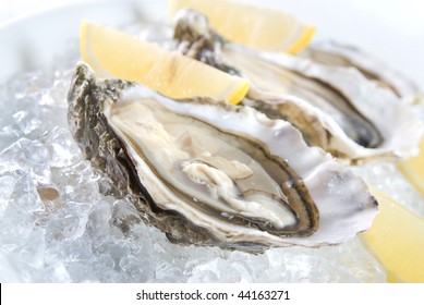 Raw Oysters With Lemon And Ice