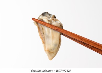 Raw Oysters On A White Background