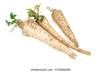 Parsley Root Hd Stock Images Shutterstock