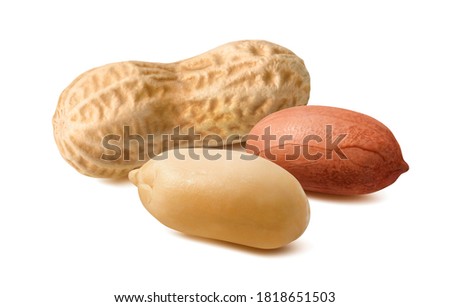 Raw peanuts in shells and skins isolated on white background. Package design element with clipping path