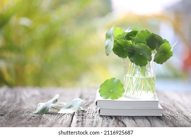 Raw Pennywort Juice And Notebook