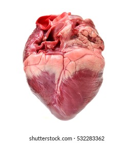 Resultado de imagen de real heart
