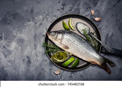 Raw pike perch whole fish with fresh green rosemary leaves lime olive oil on cooking pan tasty on concrete grey background, top view, rustic style. Healthy organic low carbohydrates diet food concept.