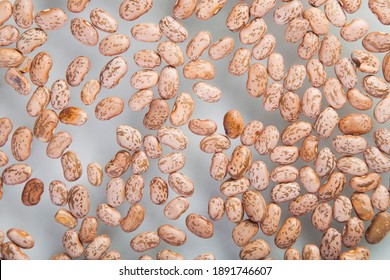 Raw Pinto Beans Isolated On White Background