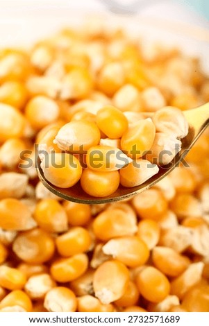 Raw popcorn kernels on a spoon with blurred kernels background. Delicious snack ingredient ready for popping.